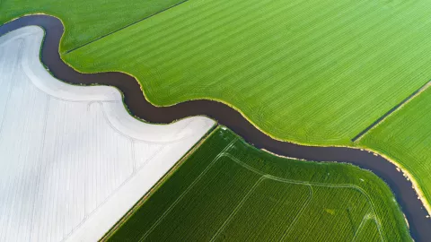 Aerial shot of curves and lines in a Dutch agricultural landscape