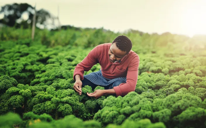 farmer