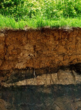 Soil structure below ground